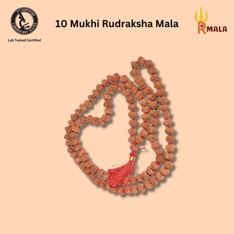 10 Mukhi Rudraksha Mala