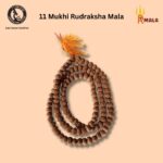 11 Mukhi Rudraksha Mala