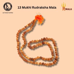 13 Mukhi Rudraksha Mala