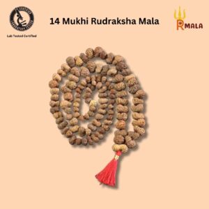 14 Mukhi Rudraksha Mala