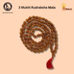 3 Mukhi Rudraksha Mala