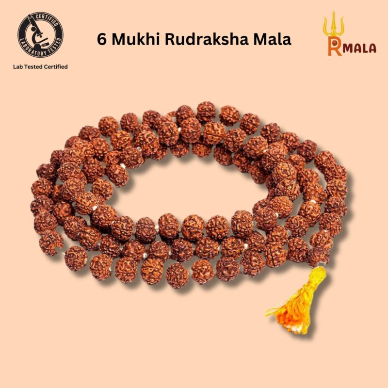 6 Mukhi Rudraksha Mala