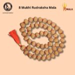 8 Mukhi Rudraksha Mala