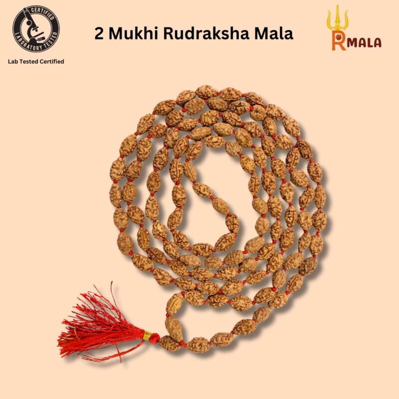 Do Mukhi Rudraksha Mala