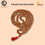 Eight Mukhi Rudraksha Mala