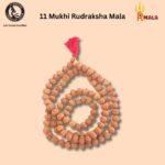 Eleven Mukhi Rudraksha Mala