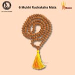 Six Mukhi Rudraksha Mala