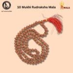 Ten Mukhi Rudraksha Mala