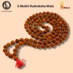 Panchmukhi Rudraksha Mala