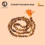 12 Mukhi